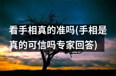 看手相真的准吗(手相是真的可信吗专家回答)