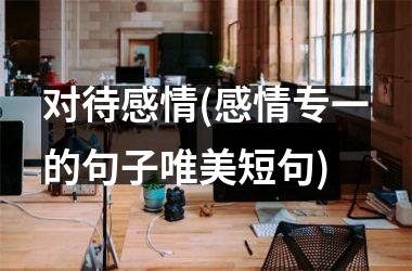 对待感情(感情专一的句子唯美短句)