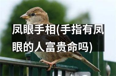 凤眼手相(手指有凤眼的人富贵命吗)