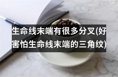 <h3>生命线末端有很多分叉(好害怕生命线末端的三角纹)