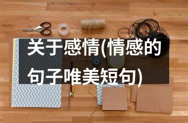 <h3>关于感情(情感的句子唯美短句)