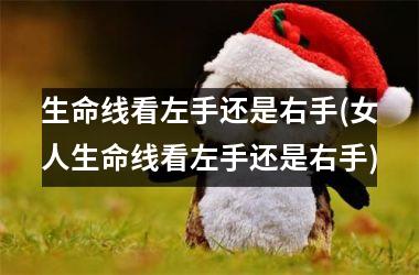 <h3>生命线看左手还是右手(女人生命线看左手还是右手)