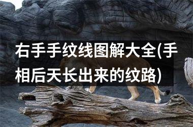 <h3>右手手纹线图解大全(手相后天长出来的纹路)