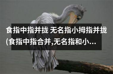 食指中指并拢 无名指小拇指并拢(食指中指合并,无名指和小拇指合并)