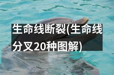 <h3>生命线断裂(生命线分叉20种图解)