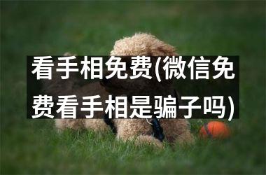 <h3>看手相免费(微信免费看手相是骗子吗)