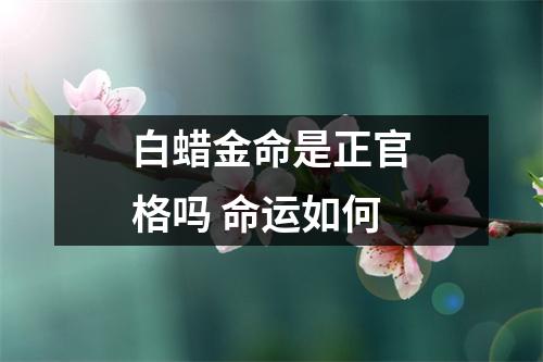<h3>白蜡金命是正官格吗命运如何