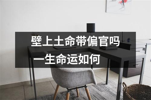 <h3>壁上土命带偏官吗一生命运如何
