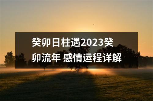 <h3>癸卯日柱遇2025癸卯流年感情运程详解