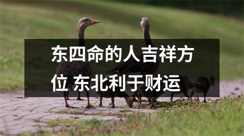 东四命的人吉祥方位东北利于财运