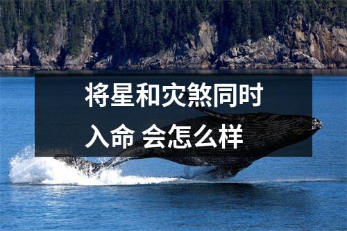 <h3>将星和灾煞同时入命会怎么样