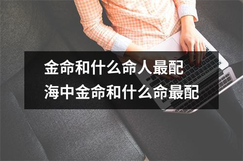 <h3>金命和什么命人配海中金命和什么命配