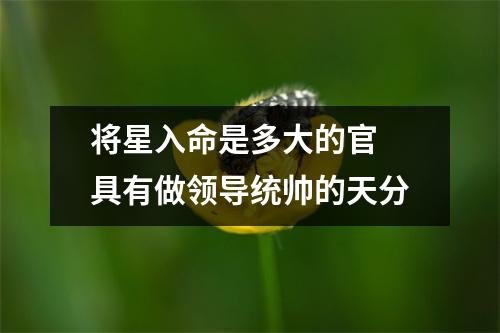<h3>将星入命是多大的官具有做领导统帅的天分