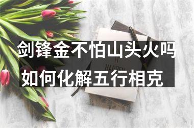 <h3>剑锋金不怕山头火吗 如何化解五行相克