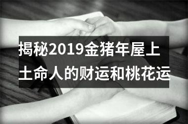 <h3>揭秘2019金猪年屋上土命人的财运和桃花运