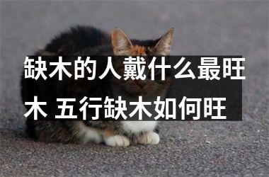 <h3>缺木的人戴什么旺木 五行缺木如何旺