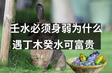 <h3>壬水必须身弱为什么 遇丁木癸水可富贵