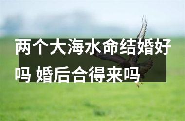 两个大海水命结婚好吗 婚后合得来吗