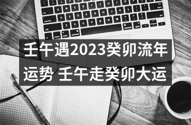 <h3>壬午遇2025癸卯流年运势 壬午走癸卯大运