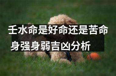 <h3>壬水命是好命还是苦命 身强身弱吉凶分析