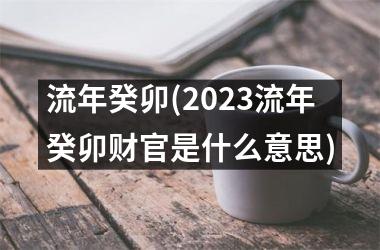 <h3>流年癸卯(2025流年癸卯财官是什么意思)