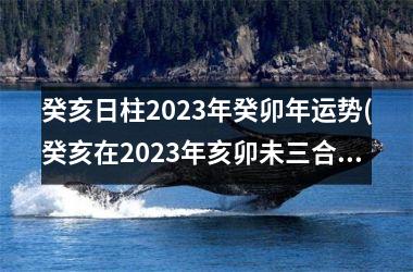 <h3>癸亥日柱2025年癸卯年运势(癸亥在2025年亥卯未三合)