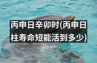 <h3>丙申日辛卯时(丙申日柱寿命短能活到多少)