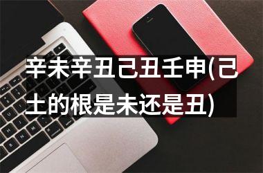 <h3>辛未辛丑己丑壬申(己土的根是未还是丑)