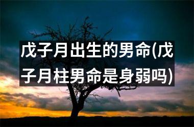 戊子月出生的男命(戊子月柱男命是身弱吗)