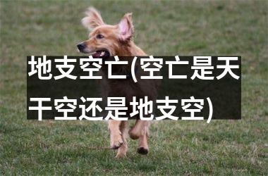 <h3>地支空亡(空亡是天干空还是地支空)