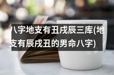 <h3>八字地支有丑戌辰三库(地支有辰戌丑的男命八字)