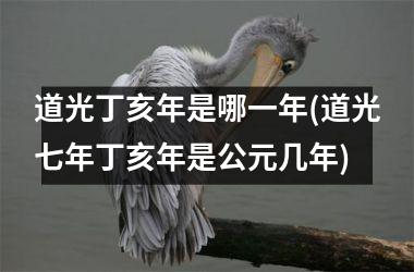 道光丁亥年是哪一年(道光七年丁亥年是公元几年)