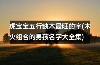 <h3>虎宝宝五行缺木旺的字(木火组合的男孩名字大全集)