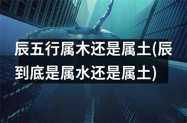 <h3>辰五行属木还是属土(辰到底是属水还是属土)