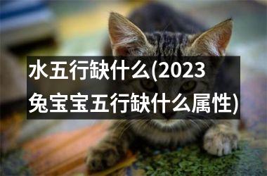 <h3>水五行缺什么(2025兔宝宝五行缺什么属性)