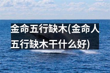 <h3>金命五行缺木(金命人五行缺木干什么好)