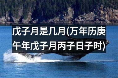 <h3>戊子月是几月(万年历庚午年戊子月丙子日子时)