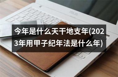 <h3>今年是什么天干地支年(2025年用甲子纪年法是什么年)