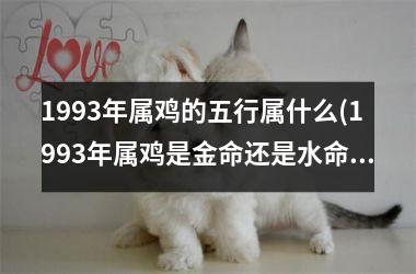 <h3>1993年属鸡的五行属什么(1993年属鸡是金命还是水命)