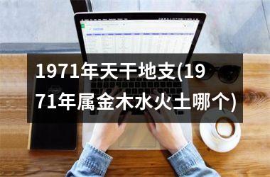 <h3>1971年天干地支(1971年属金木水火土哪个)
