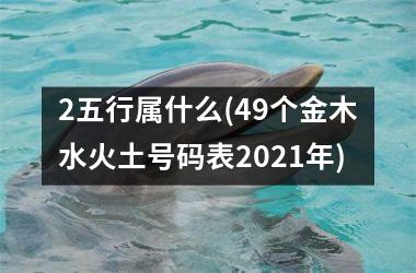 <h3>2五行属什么(49个金木水火土号码表2025年)