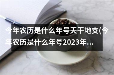 <h3>今年农历是什么年号天干地支(今年农历是什么年号2025年)