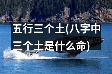 <h3>五行三个土(八字中三个土是什么命)
