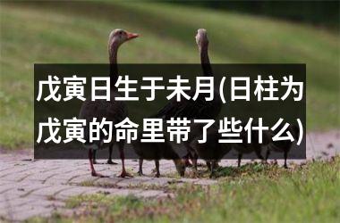 <h3>戊寅日生于未月(日柱为戊寅的命里带了些什么)