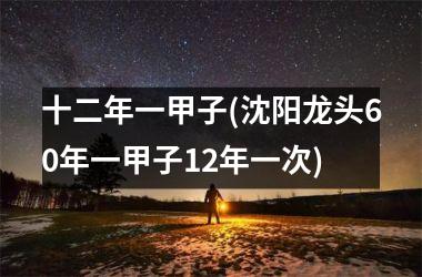 <h3>十二年一甲子(沈阳龙头60年一甲子12年一次)
