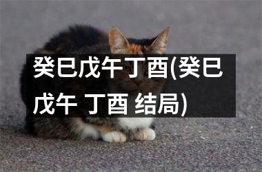 癸巳戊午丁酉(癸巳 戊午 丁酉 结局)