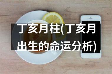 丁亥月柱(丁亥月出生的命运分析)