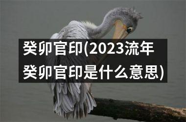 <h3>癸卯官印(2025流年癸卯官印是什么意思)