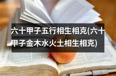 <h3>六十甲子五行相生相克(六十甲子金木水火土相生相克)