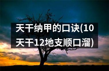 天干纳甲的口诀(10天干12地支顺口溜)